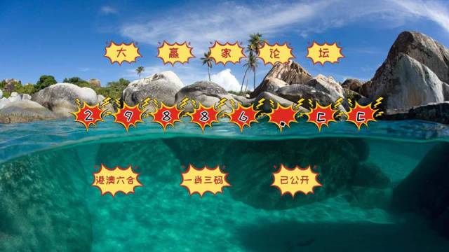 新老澳門天天開好彩大全一肖中特,資源策略實(shí)施_Executive61.685